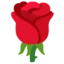 Rose on Google