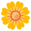 Blossom emoji, Google design