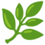 Herb emoji, Google design