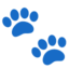 Paw Prints emoji, Google design