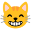 Download Grinning Cat with Smiling Eyes emoji, Google style