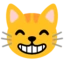 Grinning Cat with Smiling Eyes emoji, Google design