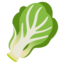 Leafy Green emoji, Google design
