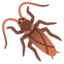 Cockroach emoji on Android