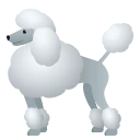 Poodle emoji, JoyPixels design
