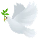 Dove emoji, JoyPixels design