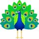 Peacock emoji, JoyPixels design