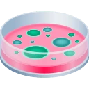Petri Dish emoji on JoyPixels