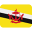 Download Flag: Brunei emoji, Twitter / X style