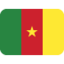 Flag: Cameroon emoji on Discord