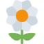 Blossom emoji, Twitter / X design