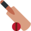 Cricket Game emoji, Twitter / X design