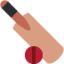 Cricket Game emoji on Discord