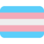 Transgender Flag emoji on Discord