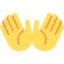 Open Hands emoji on Discord