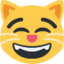 Download Grinning Cat with Smiling Eyes emoji, Twitter / X style