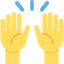 Raising Hands emoji on Discord