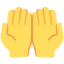 Palms Up Together emoji on Discord