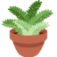 Potted Plant emoji, Twitter / X design