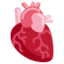 Anatomical Heart emoji on Discord
