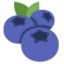 Blueberries emoji, Twitter / X design