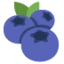 Blueberries emoji on Discord