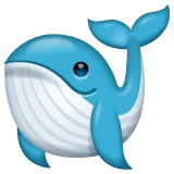 Whale emoji on WhatsApp