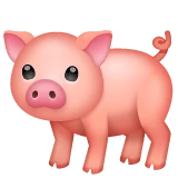 Pig emoji on WhatsApp