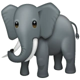 Elephant emoji on WhatsApp