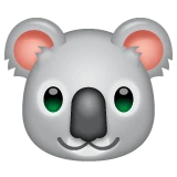 Koala emoji on WhatsApp