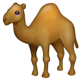 Camel emoji on WhatsApp