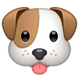 Dog Face emoji on WhatsApp