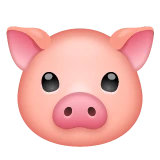 Pig Face emoji on WhatsApp