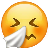 Sneezing Face emoji on WhatsApp