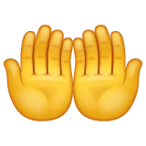 Palms Up Together emoji on WhatsApp