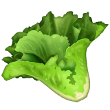 Leafy Green emoji on WhatsApp