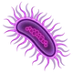 Microbe emoji, WhatsApp design