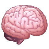 Brain emoji on WhatsApp