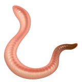 Worm emoji on WhatsApp