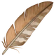 Feather emoji, WhatsApp design