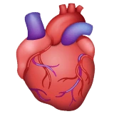 Anatomical Heart emoji on WhatsApp