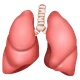 Lungs emoji, WhatsApp design