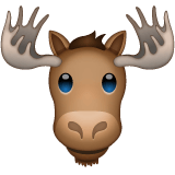 Moose emoji, WhatsApp design