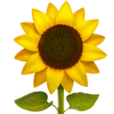 Sunflower emoji, Apple, iOS 16.4