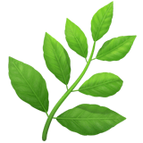 Herb emoji, Apple, iOS 16.4