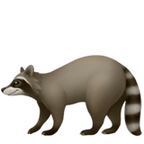 Raccoon emoji, Apple, iOS 16.4