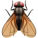 Fly emoji, Apple, iOS 16.4