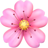 Cherry Blossom emoji, Apple, iOS 17.4