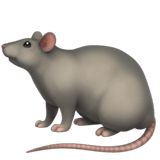 Rat emoji, Apple, iOS 17.4