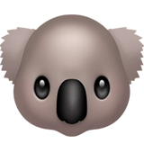 Koala emoji, Apple, iOS 17.4